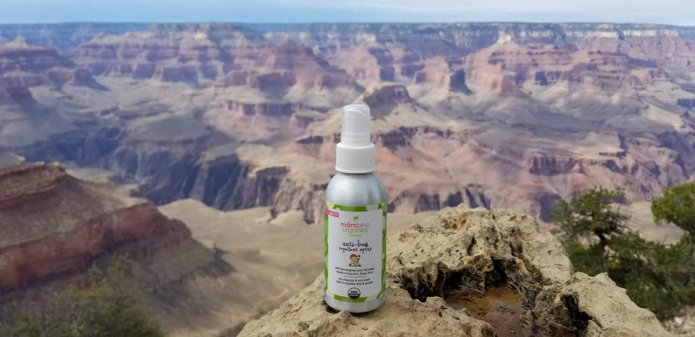 Staying Safe Outdoors