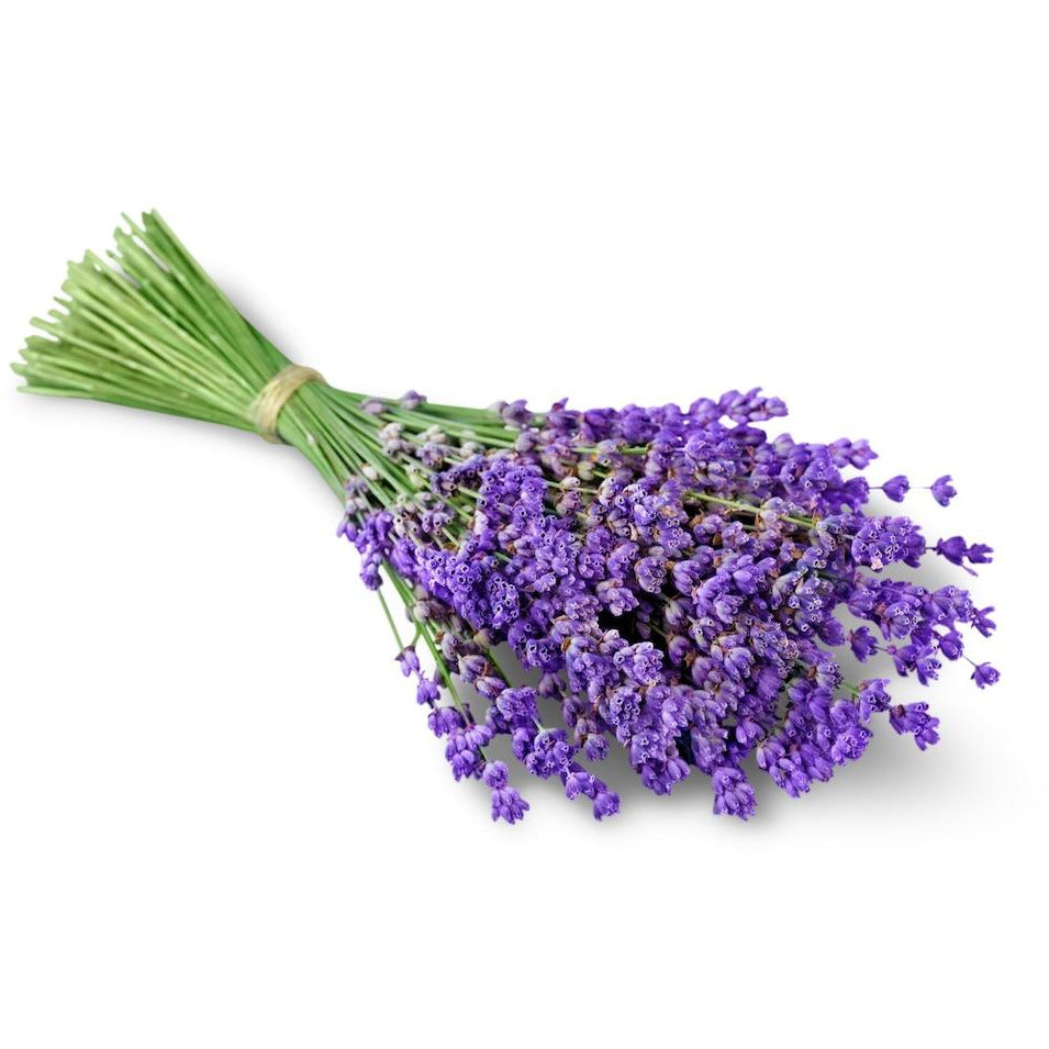 https://mambinoorganics.com/cdn/shop/products/bigstock-Lavender--109609325_2000x.jpg?v=1690417065